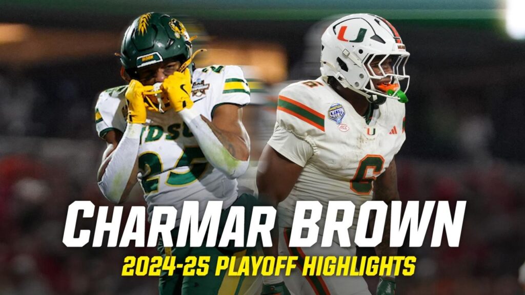 CharMar-Brown-Highlights-Blur
